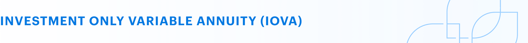 Investment only variable annuity