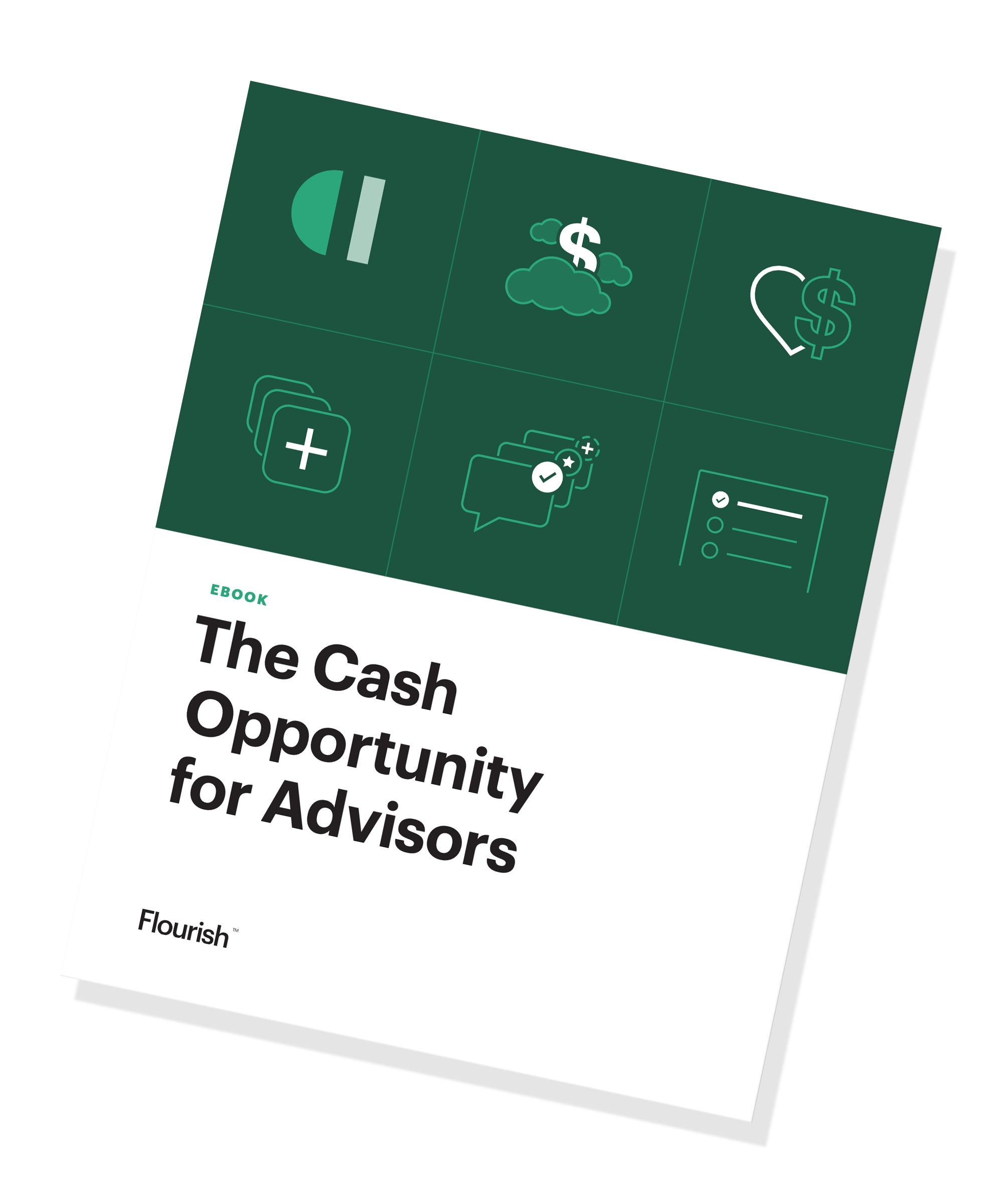 The Cash Opportunity ebook