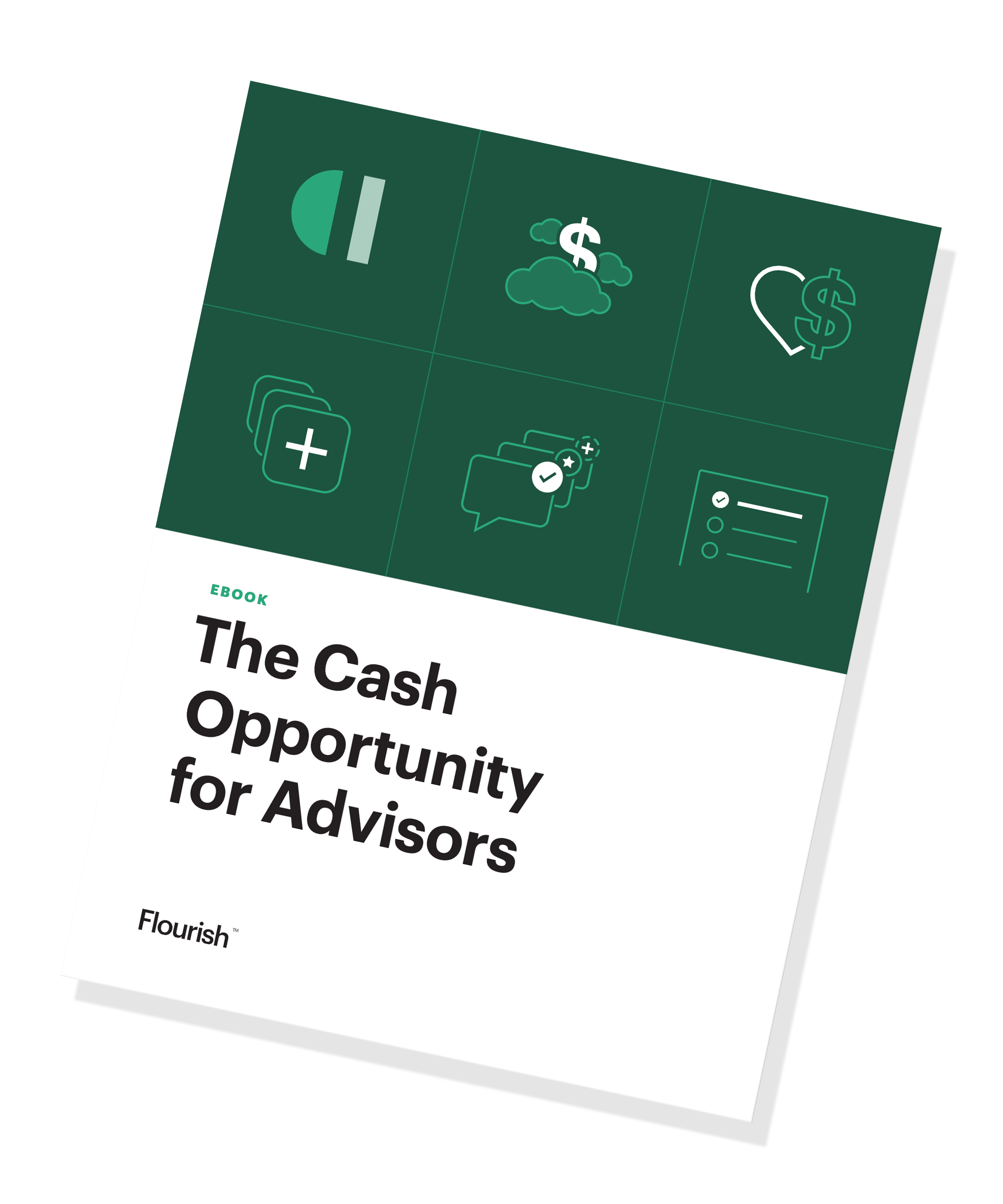 The Cash Opportunity ebook