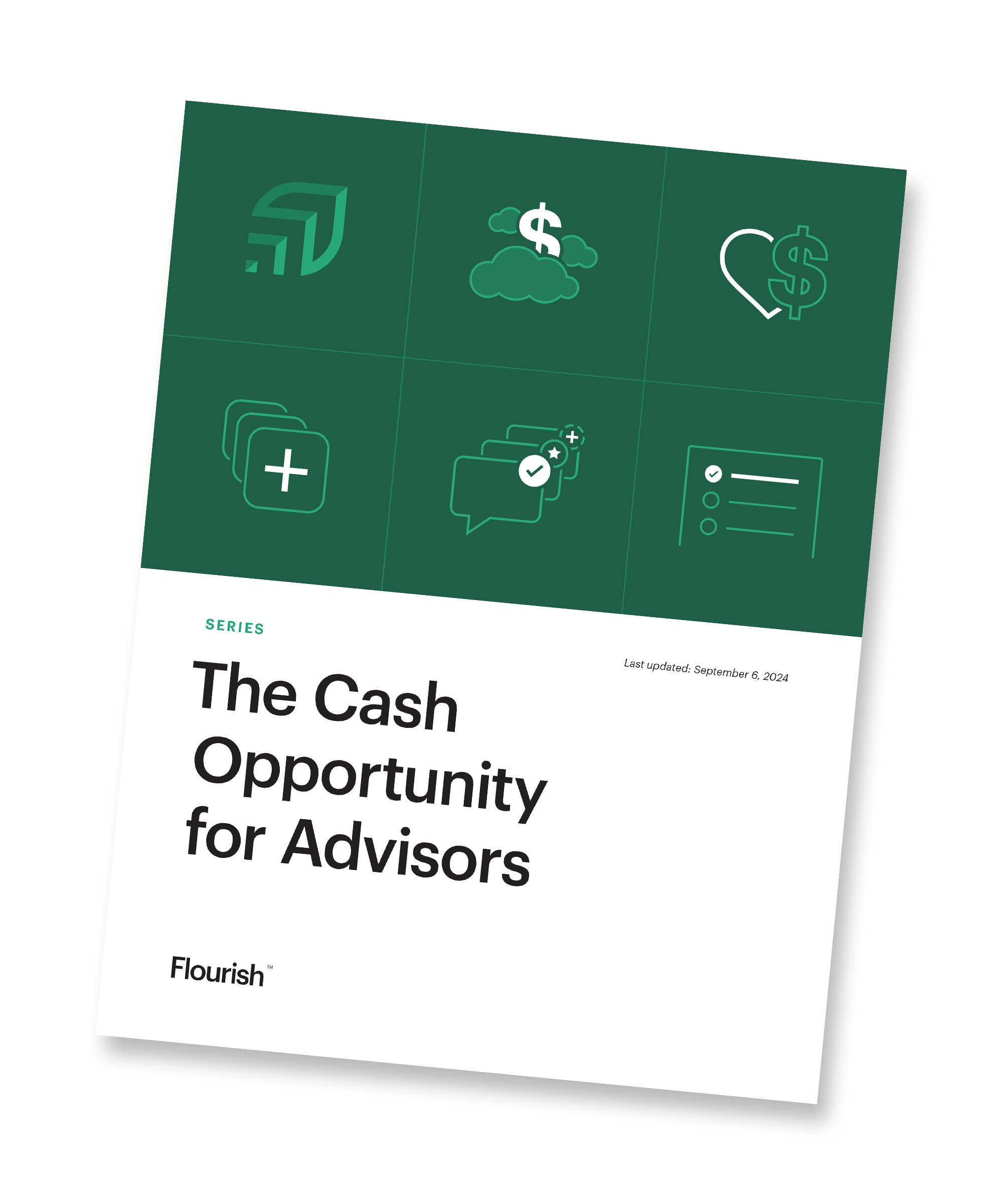 The Cash Opportunity ebook